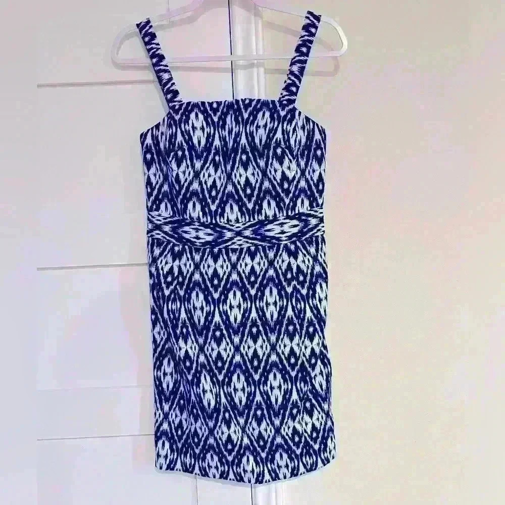 Banana Republic Navy and White Sleeveless Dress- Built in Bra- Size 4- EUC